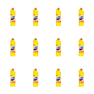 Domestos Citrus Fresh 1L X12